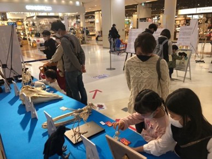 さわれる標本展示