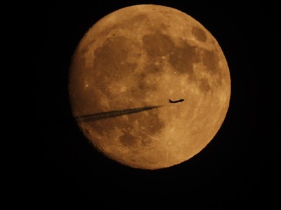 フォトコンテスト 最優秀賞
