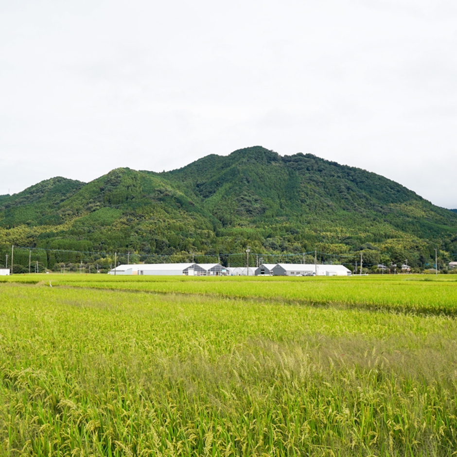 朝倉市にある兵四郎ファーム