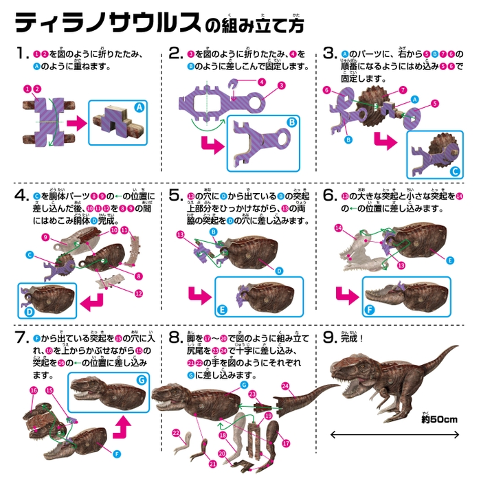 ティラノサウルス_組み立て方