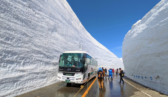 30周年を迎える「雪の大谷ウォーク」