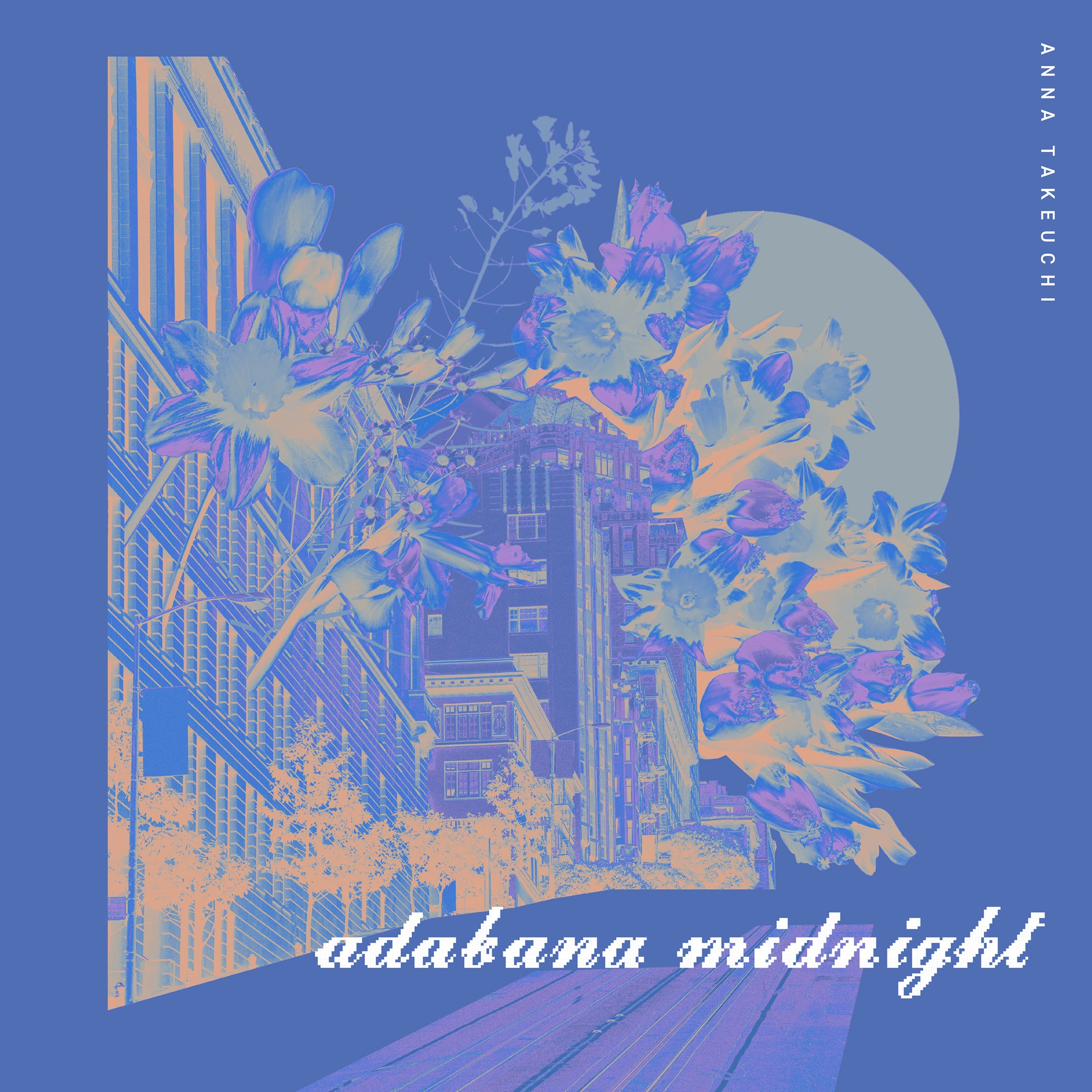 「adabana midnight」ジャケ写
