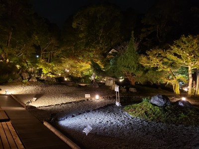 「紫雲の庭」2