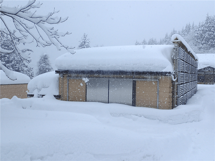 雪室の外観(和田雪室)