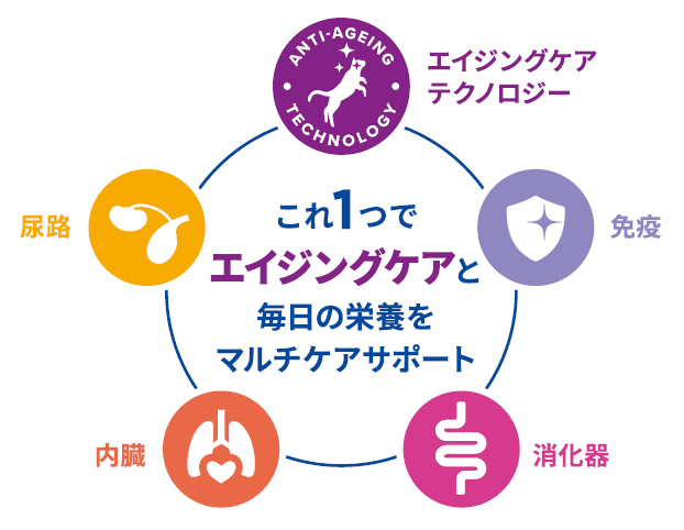 シニア期の健康維持の答え それはマルチケア栄養食