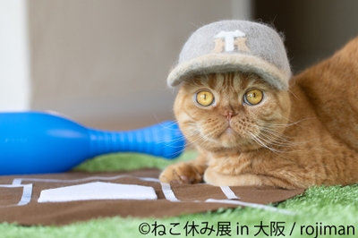 展示作品14