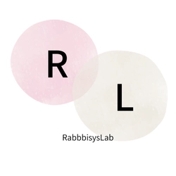 株式会社ラビシス