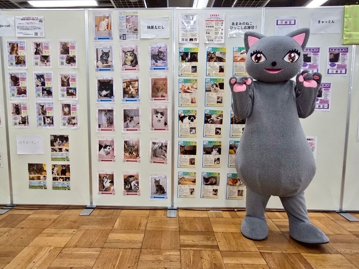 保護猫写真展