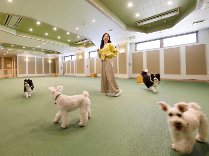 屋内ドッグラン