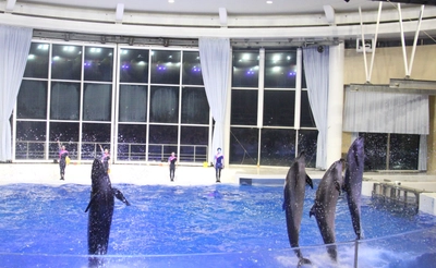 アクアワールド茨城県大洗水族館　 初開催！大洗町の酒蔵が提供するお酒と地産フードと共に、 夜の水族館を特別大公開！！ 『宴夜(えんや)』 ～ 大人のためのナイトアクアリウム ～