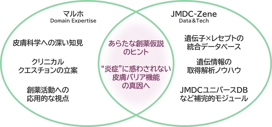 プロジェクト概要イメージ