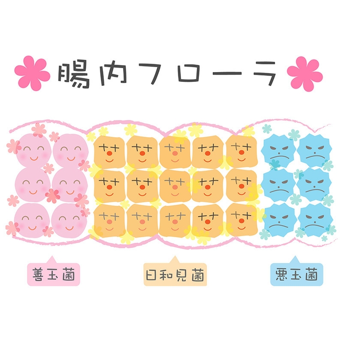 腸内フローラのバランスを適切に保つことが、心身ともに健やかでいられることに繋がっているのです。