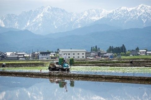 2018田植え