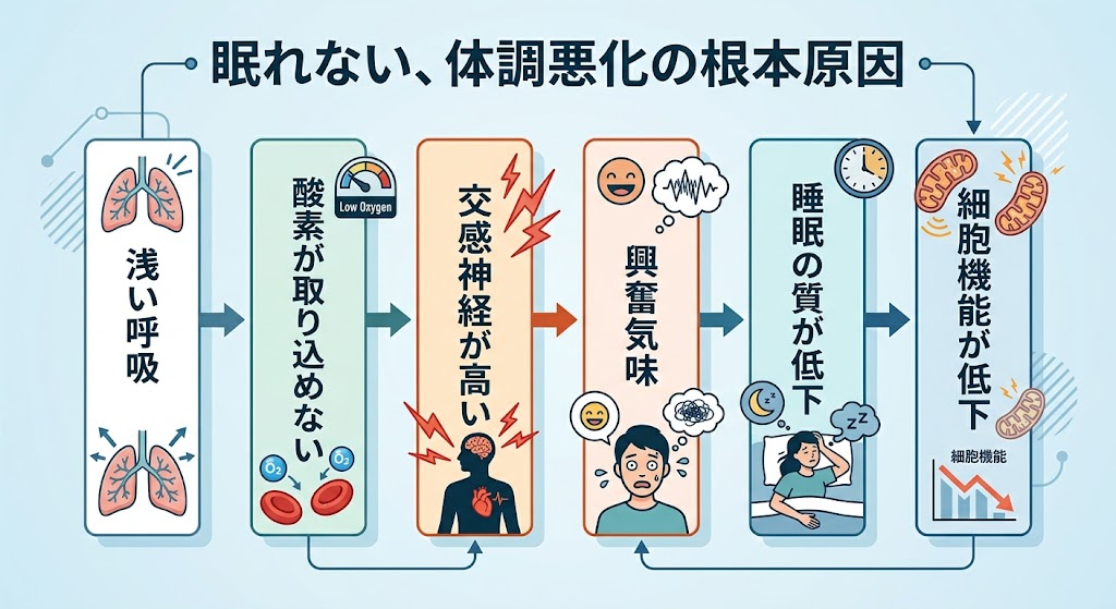 寝具の背面圧が"全身の呼吸運動"を奪う──睡眠中に換気量が低下し、不眠や体調不良を招く構造