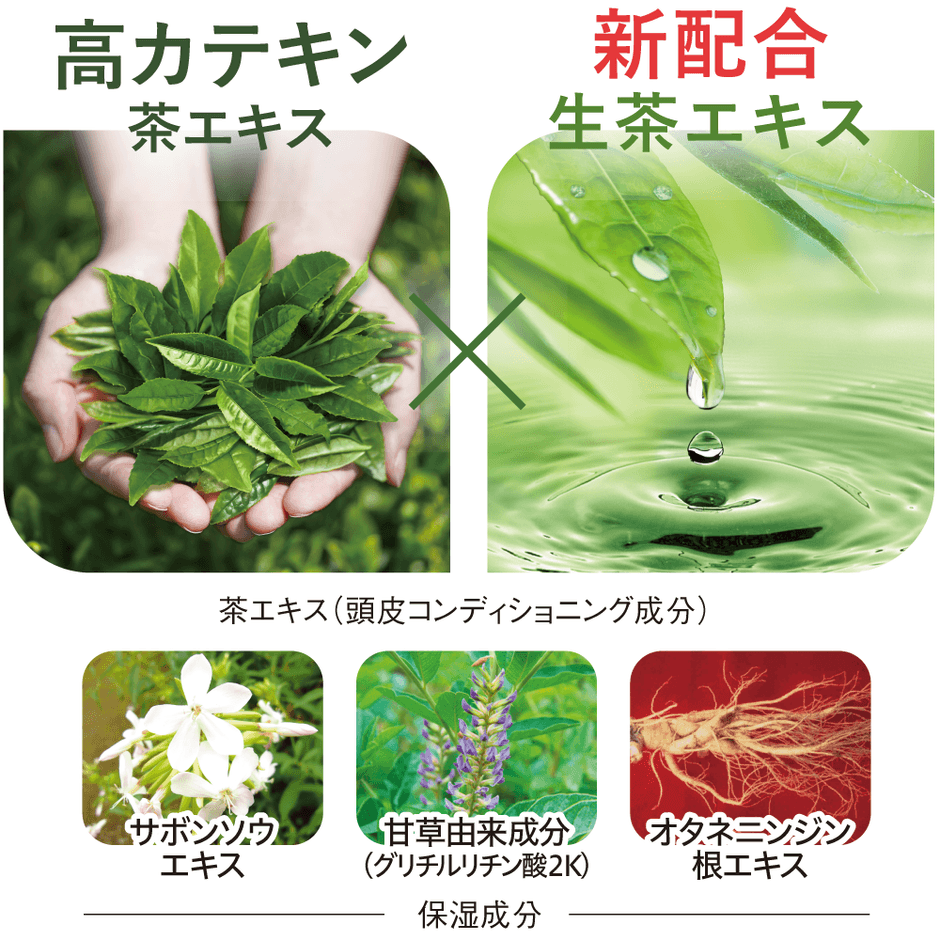シャンプー成分
