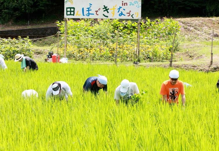 山梨 田んぼできずなづくりの様子