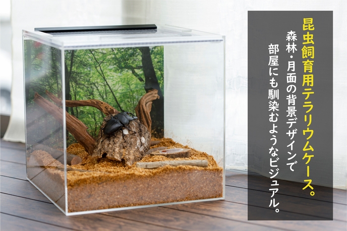 全体像(レイアウトイメージ)