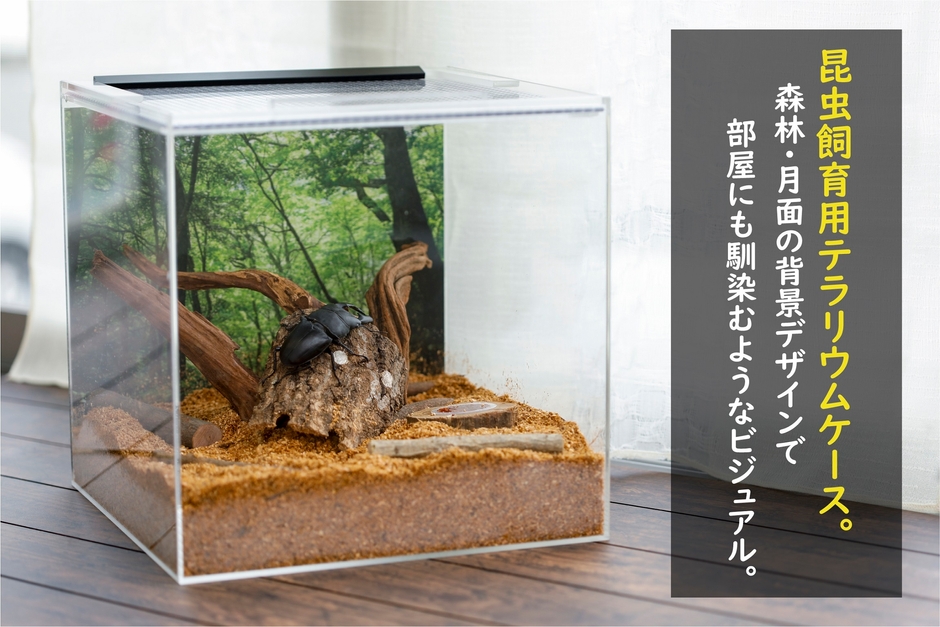 全体像(レイアウトイメージ)