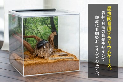 全体像(レイアウトイメージ)