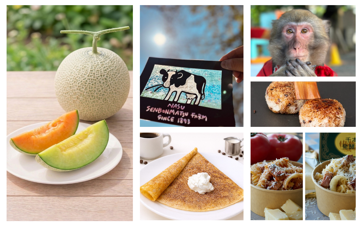 GWは那須千本松牧場で"旬と体験"を一度に試食もできる栃木の旬メロンの販売や生産者マルシェ、猿まわしなど栃木の旬・人・文化を体感するGWイベント