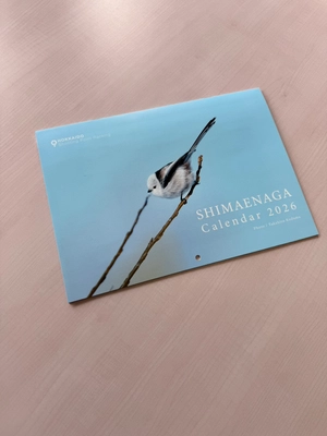 [500冊限定] 北海道で撮影した「シマエナガカレンダー2026」を 10月10日販売開始！13枚のかわいいシマエナガが勢ぞろい