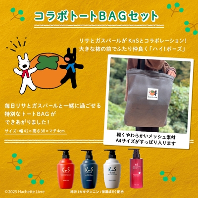 キャンペーン概要