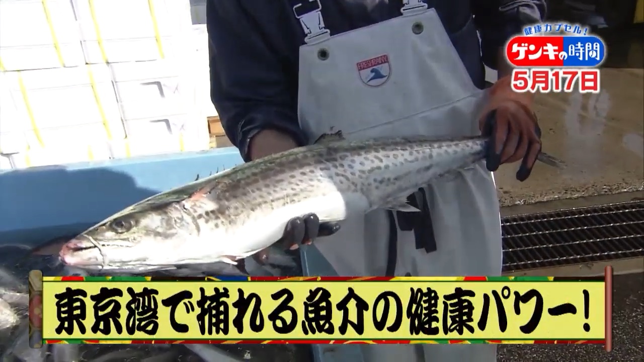 病気に負けない身体づくり!東京湾で水揚げの「魚介類」健康パワーに迫る!さらに効果倍増レシピもご紹介!5月17日(日)あさ7:00放送『健康カプセル!ゲンキの時間』