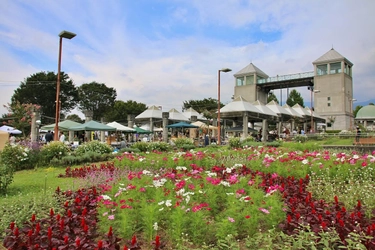 ぐんまフラワーパークでアンティークと花がテーマのマーケット 「第3回　古花市 ～Antique Floral Market～ 2020」 9月26日(土)・27日(日)開催！