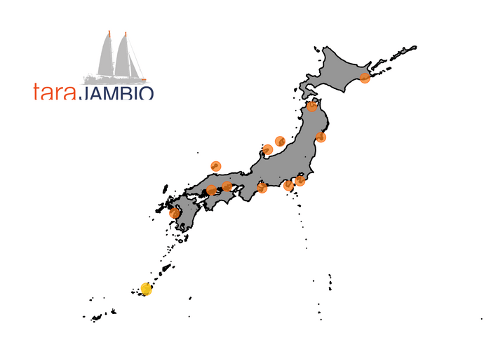 Tara JAMBIOマイクロプラスチック共同調査　拠点