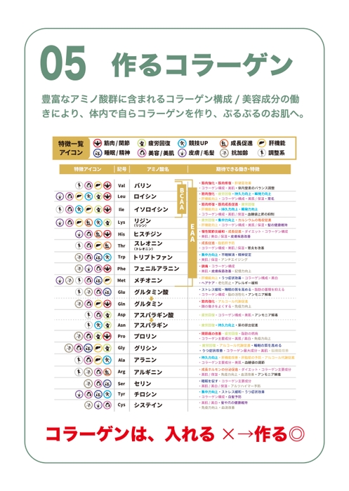 作るコラーゲン(含有するアミノ酸群)