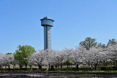 行田タワー　イメージ