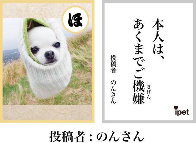 「ワン!」最優秀賞