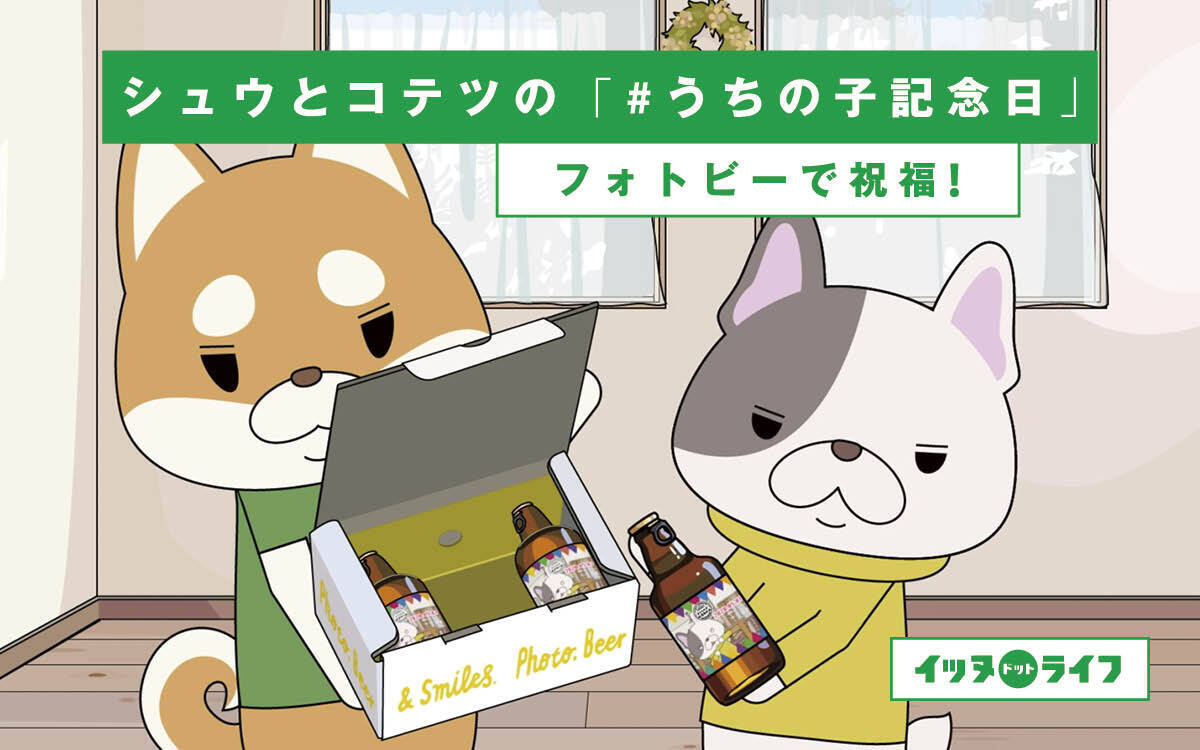 rakanu、犬専門YouTubeチャンネル「イッヌドットライフ」にてサッポロビールとタイアップ。メインキャラクター コテツの「#うちの子記念日」を、飼い主さんが「フォトビー」で祝福！