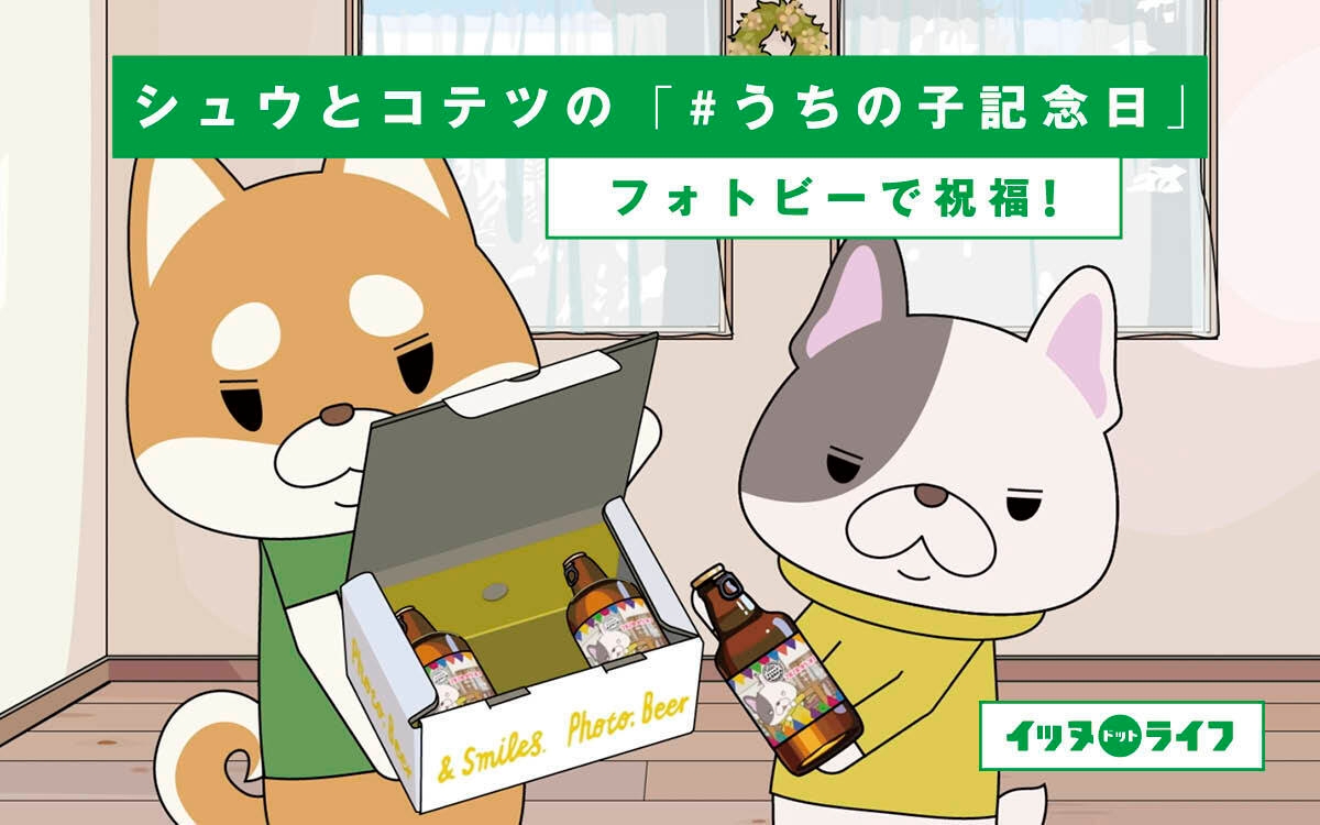 Rakanu 犬専門youtubeチャンネル イッヌドットライフ にてサッポロビールとタイアップ メインキャラクター コテツの うちの子記念日 を 飼い主さんが フォトビー で祝福 Newscast