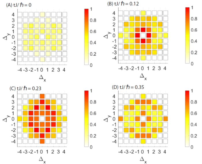 図3:2次元系での非局所相関の時間発展