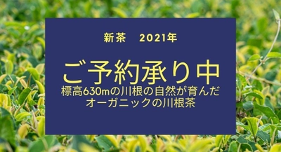 【2021年新茶】『馥 初摘み』、『ドリップティーセット』、 『新月茶』、『満月茶』の予約販売を開始！ 標高630mの川根の自然が育んだ、オーガニックの川根茶