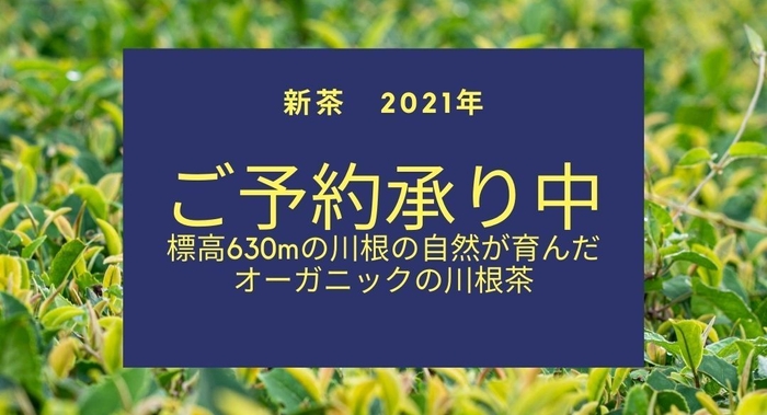 新茶 2021年 ご予約承り中