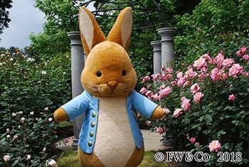 ピーターラビット(TM)のグリーティング(イメージ)