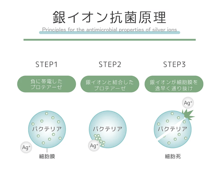 銀イオン効果の原理