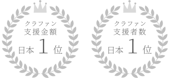 クラウドファンディングの実績