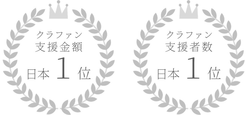 クラウドファンディングの実績
