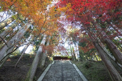 比叡山 延暦寺の紅葉