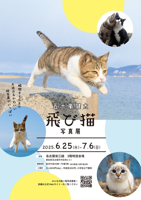 飛び猫写真展チラシ
