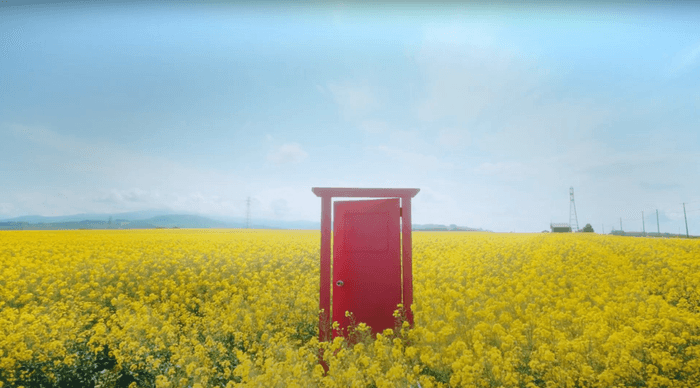 どこまでも続く菜の花とあの有名なドア。「どこまでもドア」と呼んでいましたw