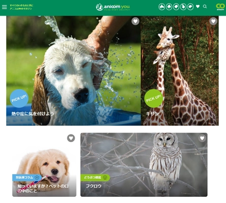 クロス・コミュニケーション、アニコム ホールディングスの 情報提供サイトを開発・制作 