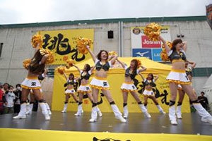 Tigers-girlsスペシャルダンスショー!