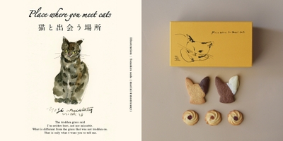Place where you meet cats ~猫と出会う場所2023~