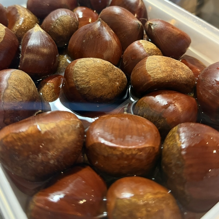 調理工程(2):一晩浸水させる