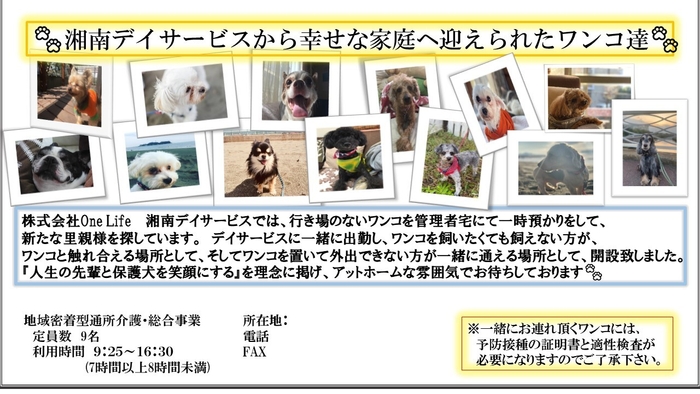 幸せになったワンコ達