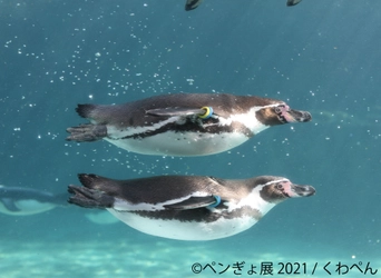 ペンギン×金魚！？夏にピッタリ 涼しさ感じる作品150点以上展示 「ペンぎょ展 2021」6/25～東京で開催！限定グッズも豊富に展開